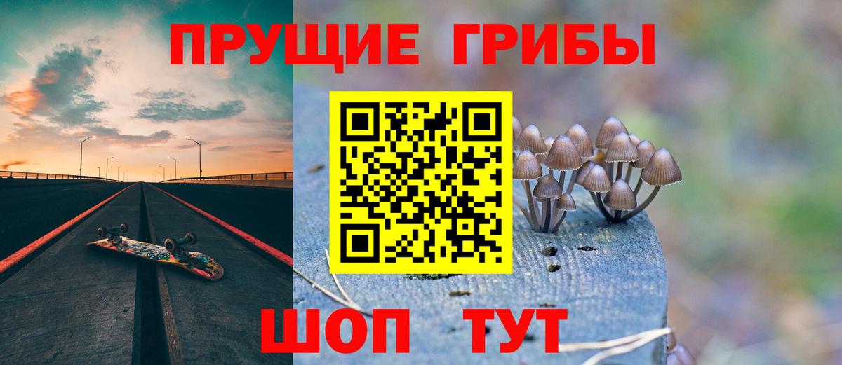 Псилоцибиновые грибы Magic Shrooms  Вход с VPN  Красный Сулин 